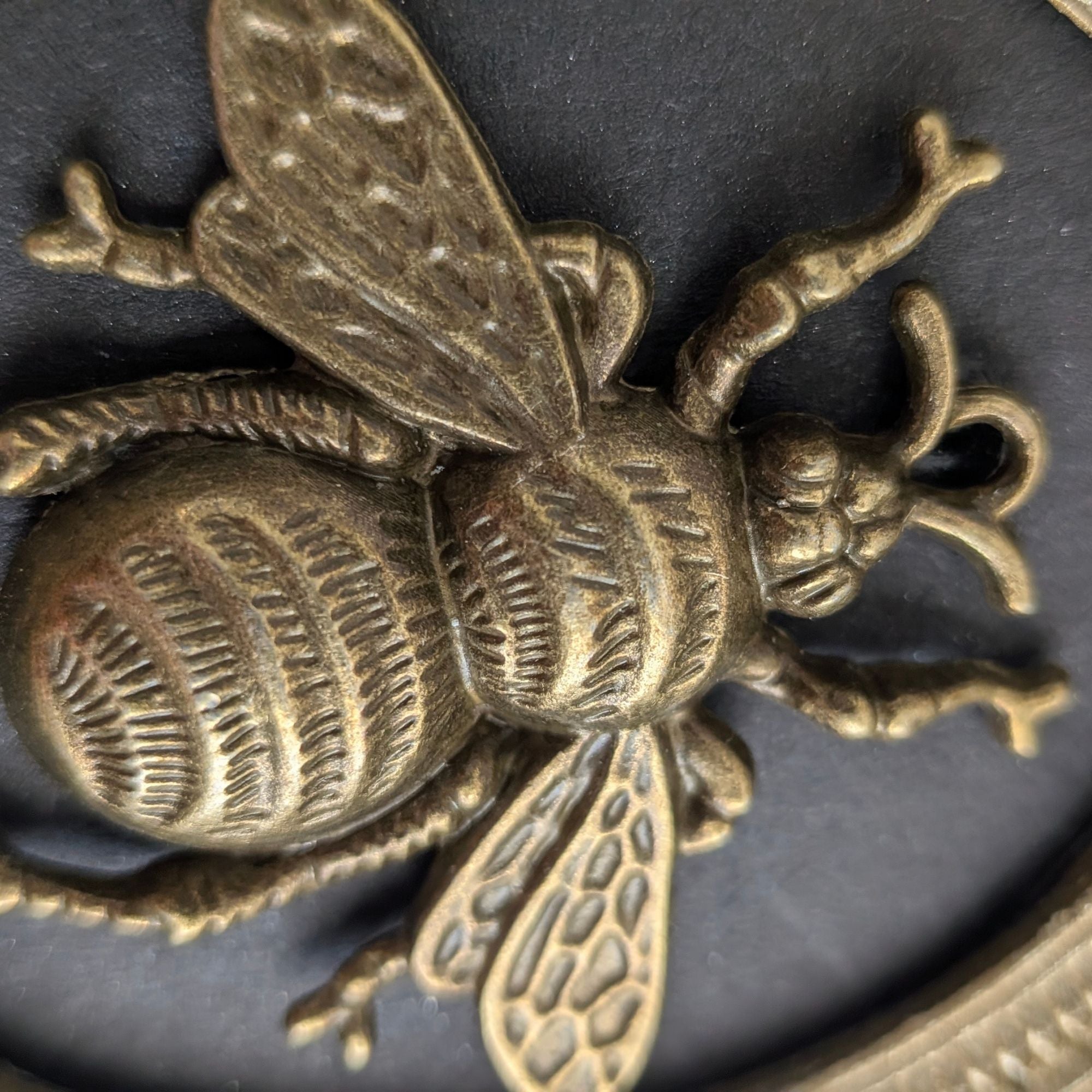 Duo Cadres Libellule et Abeille Dorées en Relief - Déco Cabinet de Curiosités Gothique Vintage - Set Cadres Muraux Résine Légère Dark Academia 8.5cm